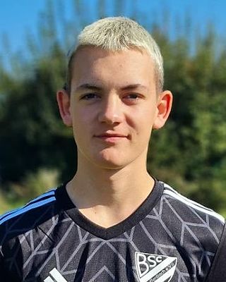 Julius von Wietersheim