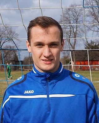 Theodorus Petrus van Ginkel