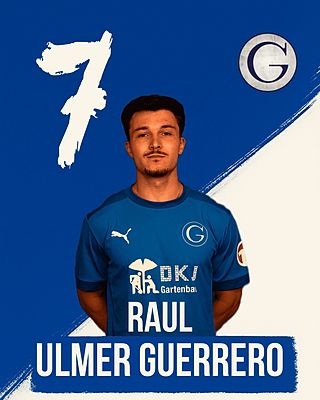 Raul Ulmer Guerrero