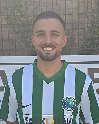 Dino Bajric