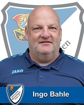 Ingo Bahle
