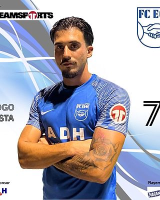 Diogo André Santos Costa