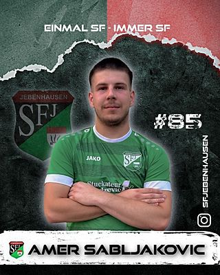 Amer Sabljakovic
