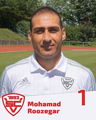 Mohamad Roozegar