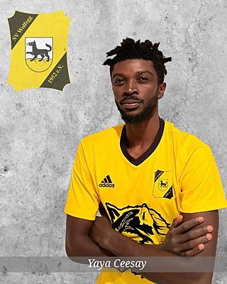 Yaya Ceesay