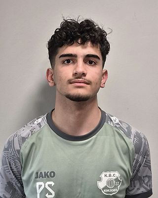 Parsin Sohrabi Aras
