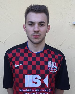 Dimitri Nikulin