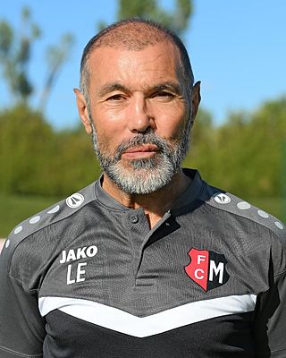 Laurent ERLINGER