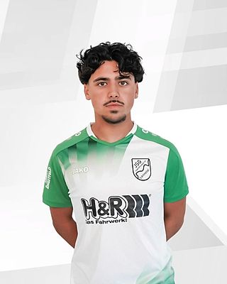 Diogo Ferreira Seara