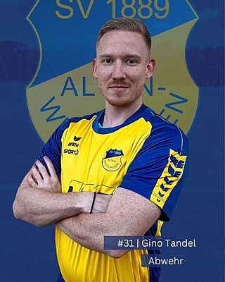 Gino Tandel