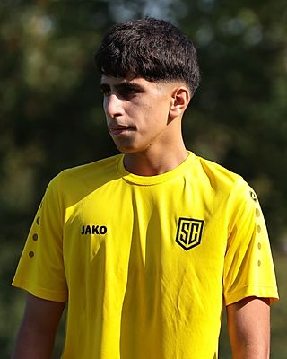 Mustafa Muhammad Agcelleri