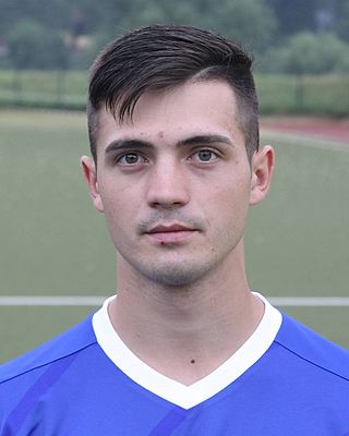 Teodor-Stefan Metesan