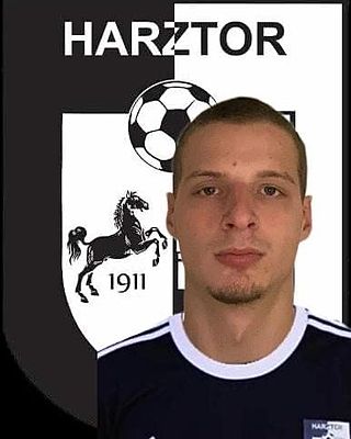 Marvin-Luca Sauer