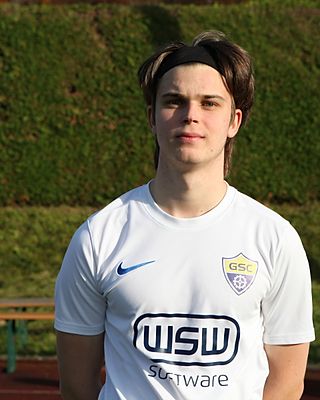 Oleksandr Povshednyi