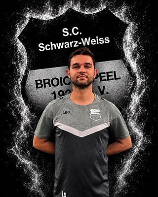 Lars Sleegers
