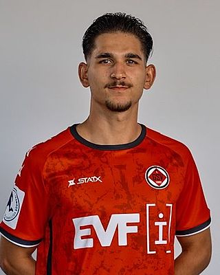 Luca Piljek