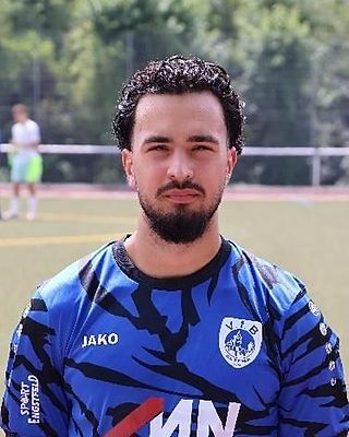 Mert Temiz