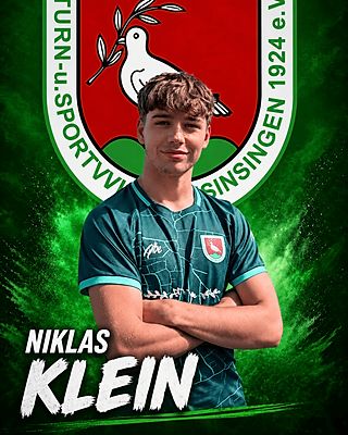 Niklas Klein