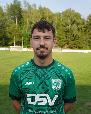 Felix Werner