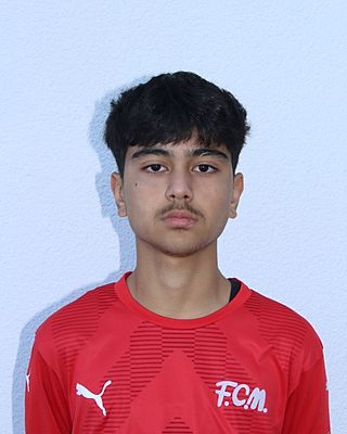 Emir Ulucay