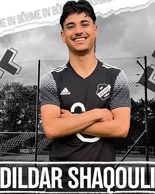 Dildar Shaqouli