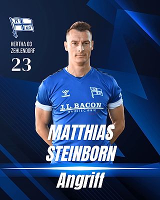 Matthias Steinborn