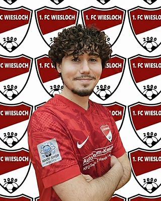 Arda Tavsan