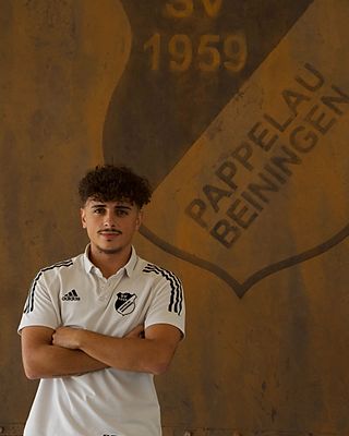 Joao Francisco Garcias Gomes