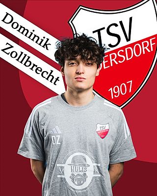 Dominik Zollbrecht