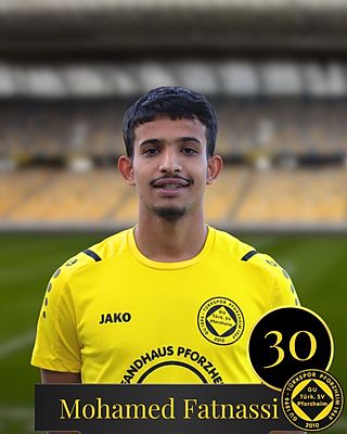 Mohamed Fatnassi