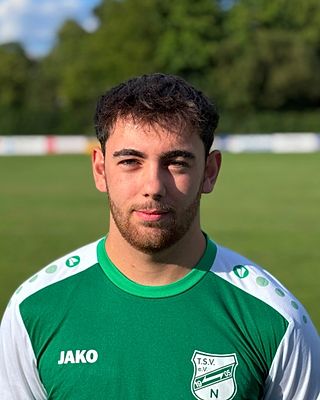 Merlin Schall