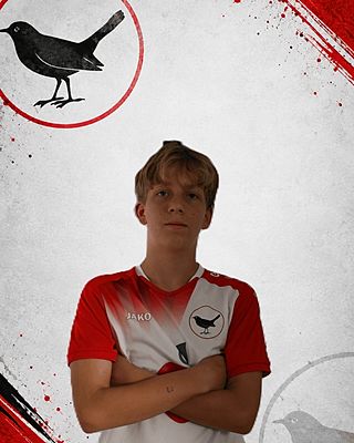 Fabian Hartmann