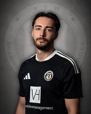 Dzenan Sinanovic