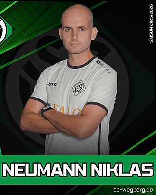 Niklas Neumann