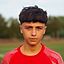 Jovan Mitic