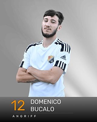 Domenico Bucalo