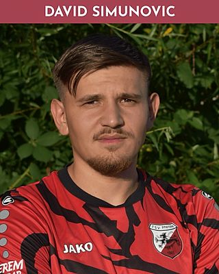 David Simunovic