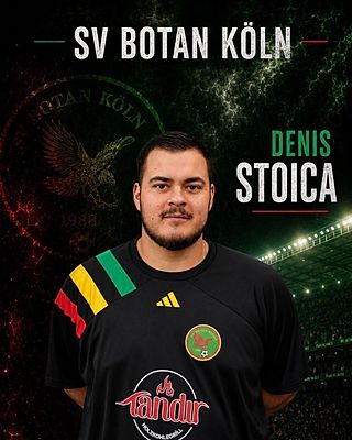 Denis Stoica