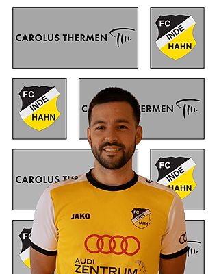 Timo van Lier
