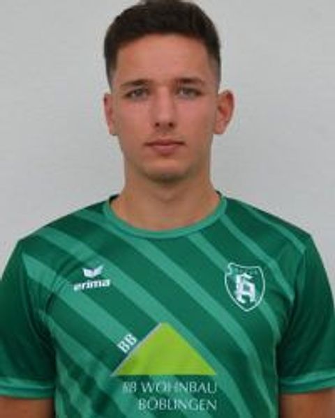 Foto: Lars Gielg        Holzgerlinge