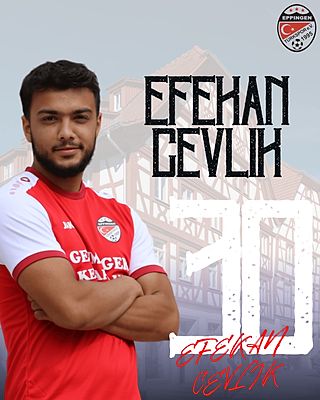 Efekan Cevlik