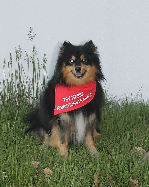 Foto: Holsten