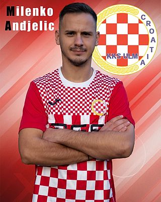 Milenko Andjelic