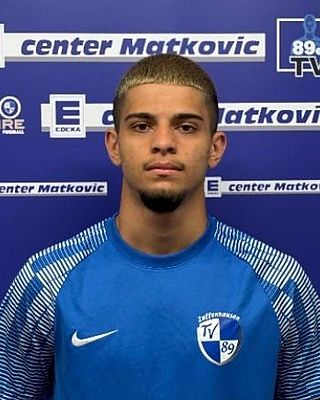 Nicolae Catalin Andreeseu