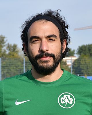 Mahmoud Elmeligy
