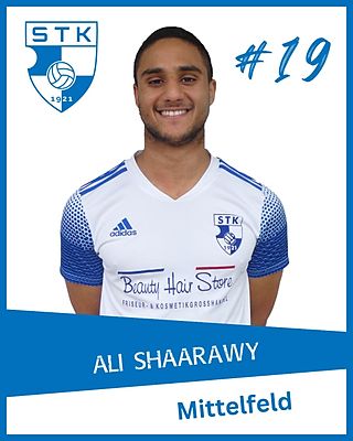 Ali Ahmed Mahmoud Hussein Shaarawy