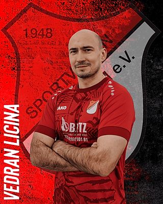Vedran Licina