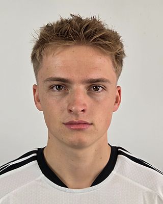Henrik Skodacek