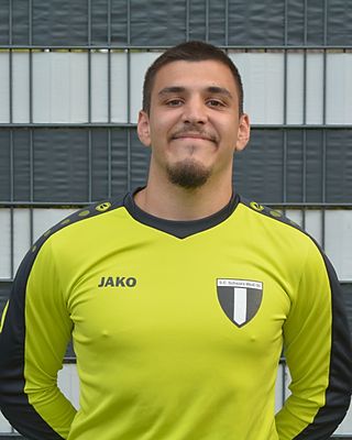 Salih Sinan Demirkaya