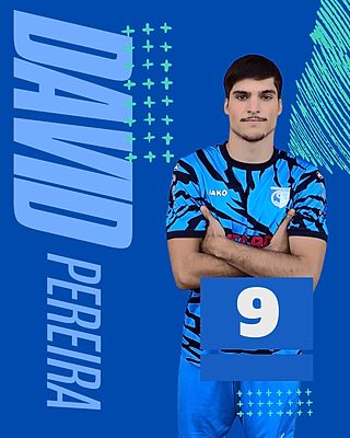 David Peireira